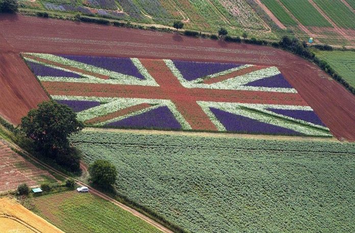 Πληγή για τον αγροδιατροφικό τομέα της ΕΕ το Brexit