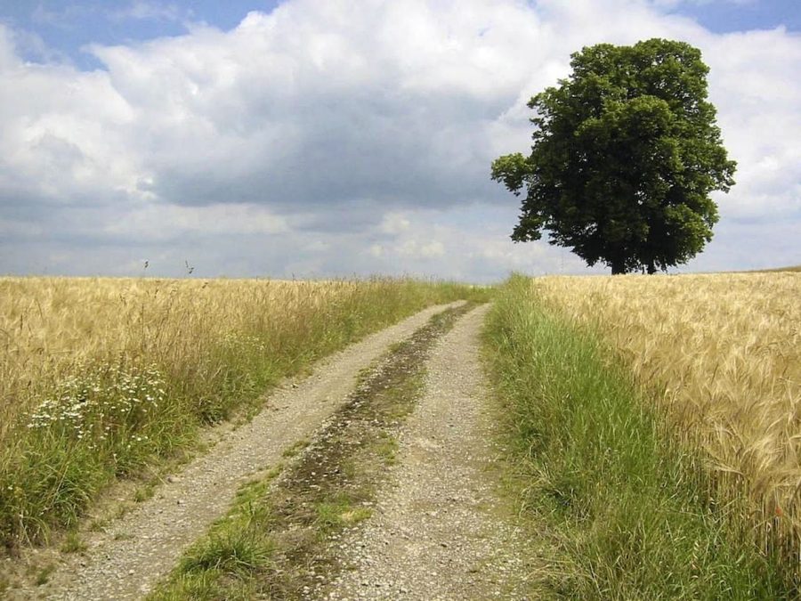 sti-veltiosi-ton-prosvaseon-se-agrotikes-ekmetallefseis-prochora-i-perifereia-thessalias-94460