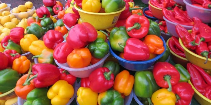 Σταθερές τιμές και περιορισμένες εντομολογικές προσβολές αβαντάρουν την πιπεριά