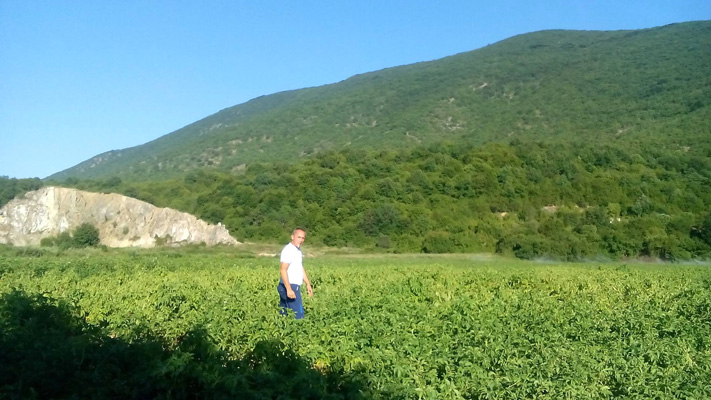 gnosi-kai-methodikotita-stin-kalliergeia-tis-patatas-sto-perithorio-dramas-95400