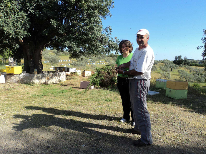 meloxido-me-patenta-apo-to-kranidi-99071