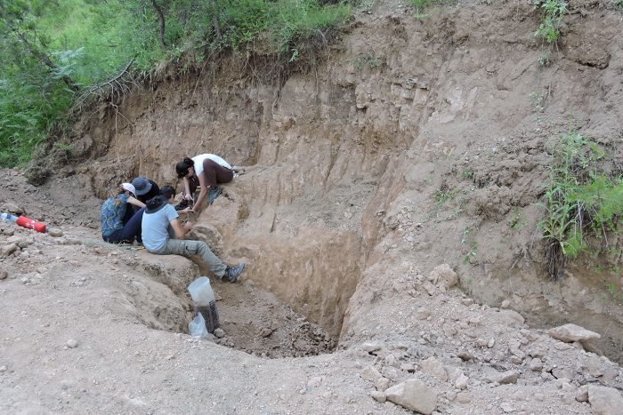 voreia-evvoia-sto-diktyo-tis-unesco-to-apolithomeno-dasos-98070