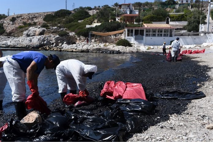 Πλήγμα για ολόκληρη την ιχθυοπαραγωγική αλυσίδα του Σαρωνικού Πλήγμα για ολόκληρη την ιχθυοπαραγωγική αλυσίδα του Σαρωνικού
