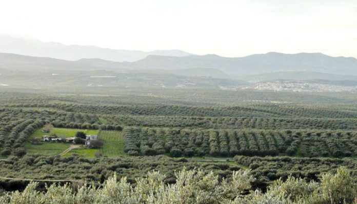 Μειώθηκαν οι εξαγωγές της Κρήτης το 2018 Μειώθηκαν οι εξαγωγές της Κρήτης το 2018