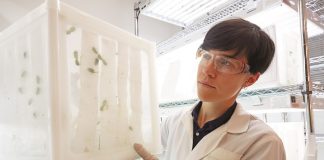Η Bayer και το Ινστιτούτο ΙΜΒΒ - ΙΤΕ συνεργάζονται για την ανάπτυξη καινοτόμων λύσεων για την καταπολέμηση των εντόμων