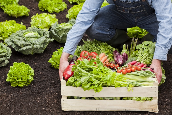 emporio-frouta-laxanika