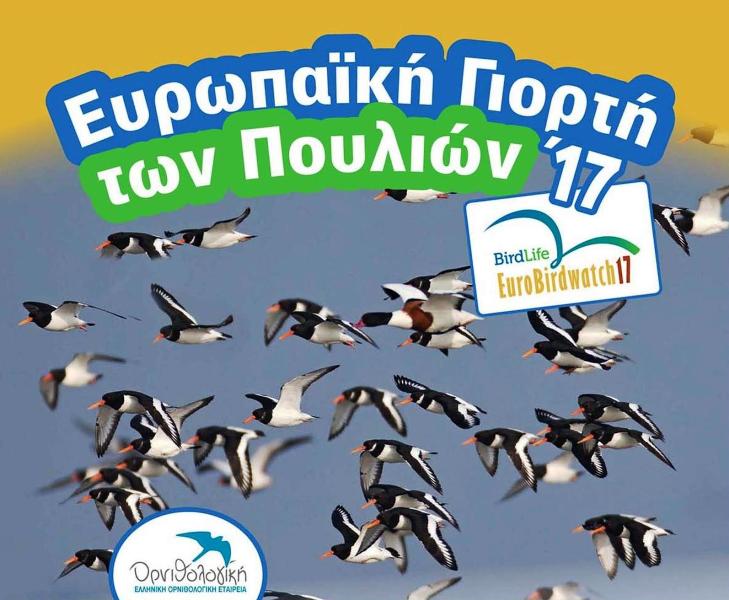 i-evropaiki-giorti-poulion-2017-ston-ygrotopo-tou-moustou-99404