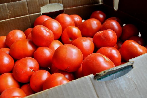 desmefsi-3-790-kilon-ntomatas-ston-peiraia-96843