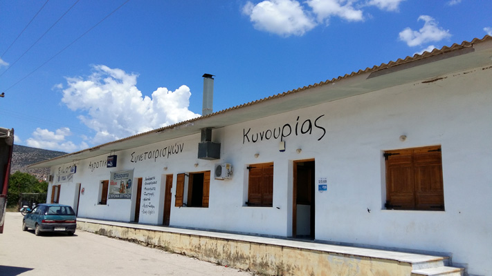 allagi-poreias-stin-enosi-agrotikon-synetairismon-kynourias-97324