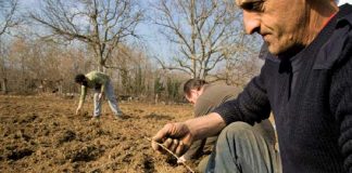 ΚΚΕ: Μη δώσετε πάλι ψίχουλα στους αγρότες της Σαμοθράκης