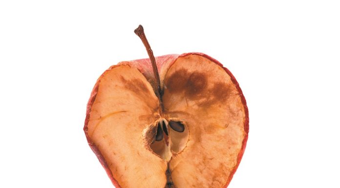 Νέο εργαλείο για την ανίχνευση της σήψης του μήλου