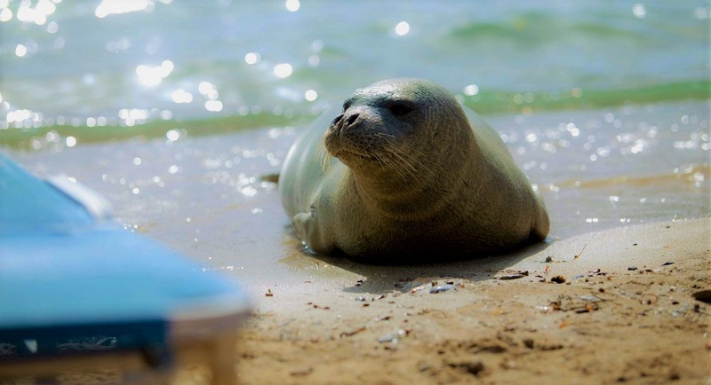 Ο,τι απέμεινε από την Αργυρώ είναι οι χαριτωμένες φωτογραφίες της