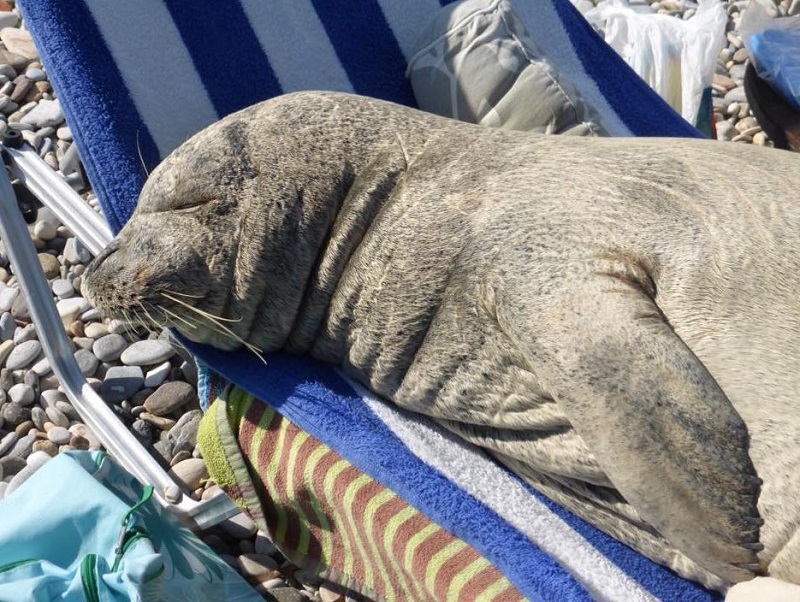 Ο,τι απέμεινε από την Αργυρώ είναι οι χαριτωμένες φωτογραφίες της