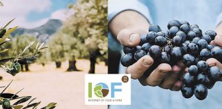 Πρόγραμμα IOF2020: Τεχνολογίες σε επιτραπέζιο σταφύλι και ελιά μειώνουν το κόστος παραγωγής