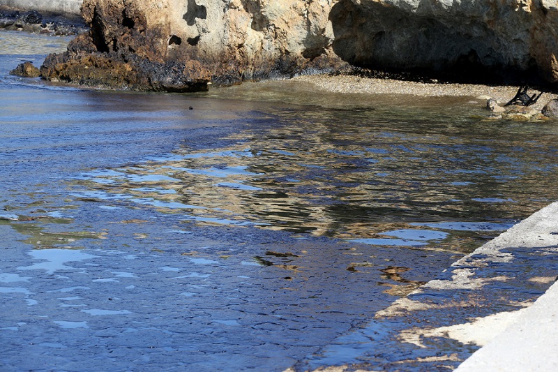 Ο Σαρωνικός εκπέμπει SOS: Καρέ καρέ η μεγάλη οικολογική καταστροφή στη Σαλαμίνα (Βίντεο - Φωτό)