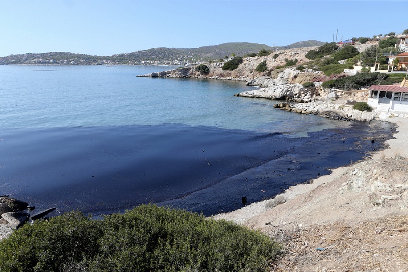 Ο Σαρωνικός εκπέμπει SOS: Καρέ καρέ η μεγάλη οικολογική καταστροφή στη Σαλαμίνα (Βίντεο - Φωτό)