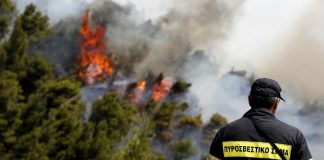 Σε κατάσταση έκτακτης ανάγκης έξι κοινότητες του δήμου Δυτικής Αχαΐας, λόγω των ζημιών από τη φωτιά
