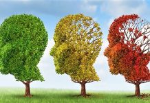 Στα φυτικά προϊόντα στρέφονται μελέτες για την πρόληψη και θεραπεία του Alzheimer