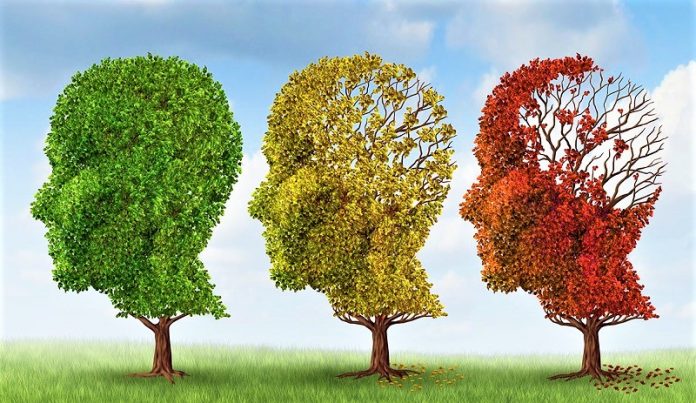 Στα φυτικά προϊόντα στρέφονται μελέτες για την πρόληψη και θεραπεία του Alzheimer