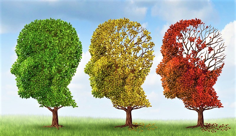 sta-fytika-proionta-strefontai-meletes-gia-tin-prolipsi-kai-therapeia-tou-alzheimer-96961