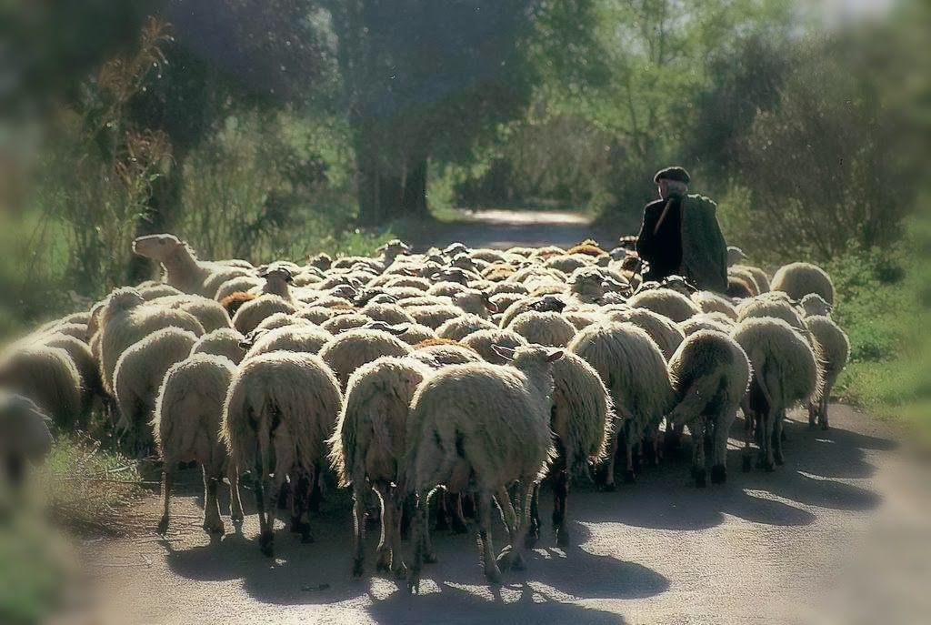 dimosiefthikan-oi-egkekrimenoi-tis-exisotikis-deite-an-eiste-dikaiouchos-96745