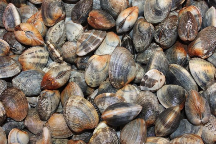 ypaat elegxoi diarroi kaysimon perioxes paragogis zonton dithiron malakion2 ΥΠΑΑΤ: Έλεγχοι μετά τη διαρροή καυσίμων σε περιοχές παραγωγής ζώντων διθύρων μαλακίων