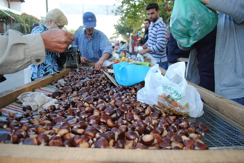 21η γιορτή «Κάστανο, κρασί και τυρί» στη Γρίβα Κιλκίς, στο όρος Πάικο!