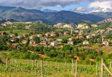 Βουλγαρία: Κονδύλια της ΚΑΠ για την αναδιάρθρωση αμπελώνων