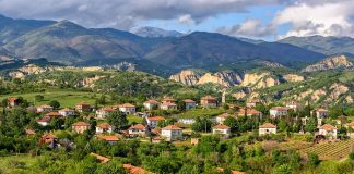 Βουλγαρία: Κονδύλια της ΚΑΠ για την αναδιάρθρωση αμπελώνων