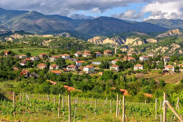 Βουλγαρία: Κονδύλια της ΚΑΠ για την αναδιάρθρωση αμπελώνων Βουλγαρία: Κονδύλια της ΚΑΠ για την αναδιάρθρωση αμπελώνων