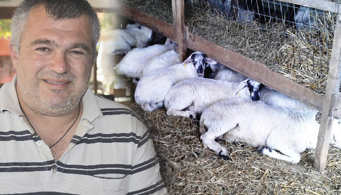 agrotis-drama-kitsoukakis