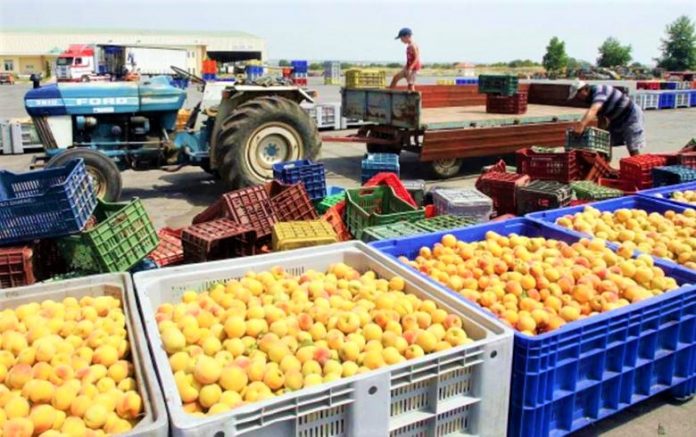 Κατάσχεση 6,9 τόνων ακατάλληλων φρούτων στον Πειραιά