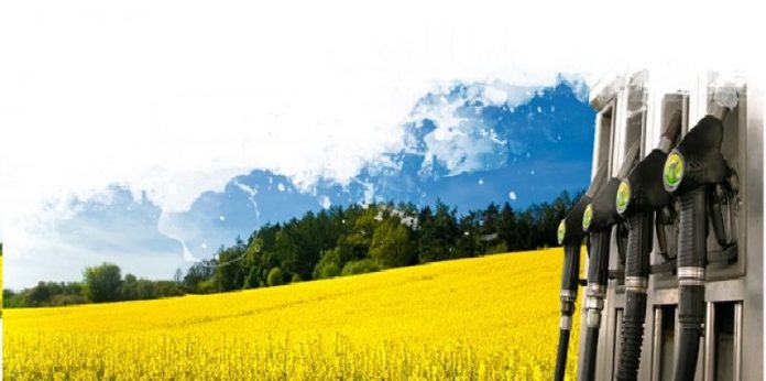 Μελέτη: Από εισαγόμενες πρώτες ύλες το 53% του βιοντίζελ της ΕΕ Μελέτη: Από εισαγόμενες πρώτες ύλες το 53% του βιοντίζελ της ΕΕ