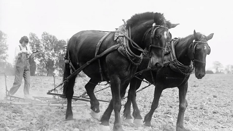 Διεθνής Ημέρα της Αγρότισσας: Το 50% των τροφίμων που παράγονται ετησίως το καλλιεργούν γυναίκες