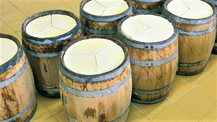 emfylios-ktinotrofon-gia-tin-diepangelmatiki-fetas-101716