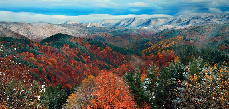 Φθινόπωρινές εξορμήσεις στη Ροδόπη και στο παρθένο δάσος του Φρακτού