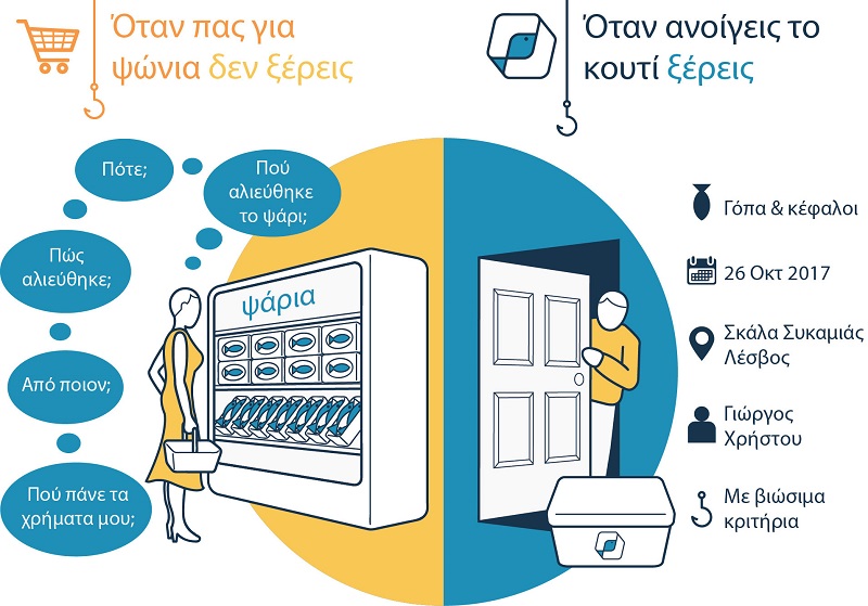 Greenpeace: Με ένα "Κουτί Θάλασσα" θα ξέρει ακριβώς πότε, πού, πώς και από ποιόν αλιεύτηκε το ψάρι σου (Βίντεο)