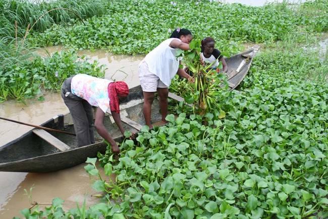 Η ιστορία της γυναίκας που μετέτρεψε ένα υλικό που δεν ήθελε κανείς σε κερδοφόρα επιχείρηση