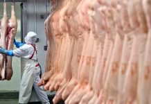 Κατάσχεση τροφίμων ζωικής προέλευσης συνολικού βάρους 374 κιλών στο Πέραμα