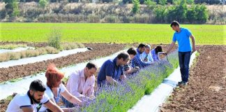 Κέντρο Αγροδιατροφικής Επιχειρηματικότητας Μεσσηνίας: Ξεκίνησαν οι εγγραφές για σεμινάρια