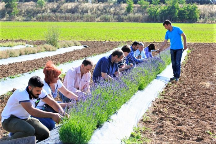 Κέντρο Αγροδιατροφικής Επιχειρηματικότητας Μεσσηνίας: Ξεκίνησαν οι εγγραφές για σεμινάρια