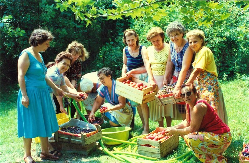 makaronada-me-saltsa-viologiki-apo-to-agroktima-tou-kethea-ithaki-101438