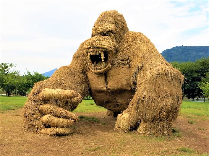 Μαθητές στην Ιαπωνία κατασκεύασαν γιγαντιάια ζώα από αχυρόμπαλες ρυζιού! (Φωτό)