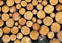 Νέα υπουργική απόφαση εξασφαλίζει περισσότερη και φθηνότερη ξυλεία φέτος στους κατοίκους των ορεινών περιοχών