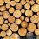 ΕΕ-αποψίλωση των δασών: Συμφωνία των 27 για πράσινες εισαγωγές