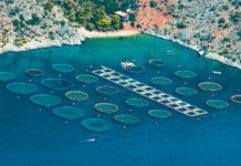 Νέοι και παλιοί θαλασσοκαλλιεργητές μπορούν εν μέρει να κατοχυρώσουν τις αυθαίρετες κατασκευές 