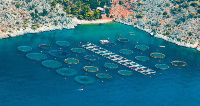Νέοι και παλιοί θαλασσοκαλλιεργητές μπορούν εν μέρει να κατοχυρώσουν τις αυθαίρετες κατασκευές 