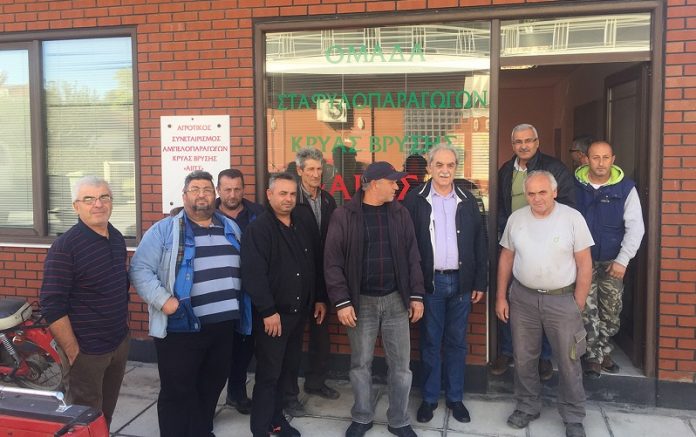 neos synaiterismos organosi paragogon idrythike krya vrysi giannitson Νέος Συνεταιρισμός - Οργάνωση Παραγωγών ιδρύθηκε στην Κρύα Βρύση Γιαννιτσών