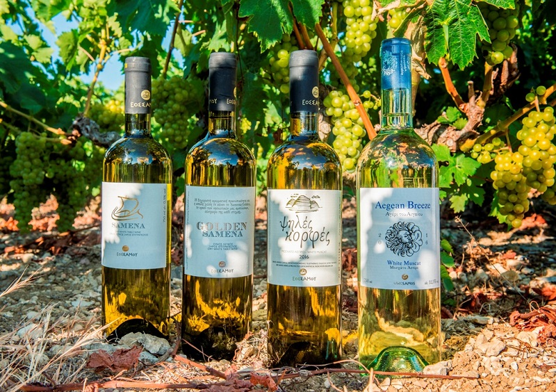 NOSTOS 2017 και ΣΑΜΙΩΤΙΚΟ ΚΡΑΣΙ στη Ναύπακτο