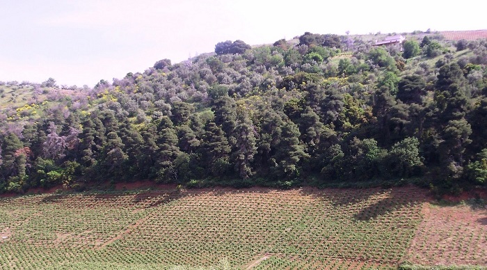 eos-ta-teli-avgoustou-i-proskomisi-dikaiologitikon-gia-ton-apocharaktirismo-agrotemachion-100822